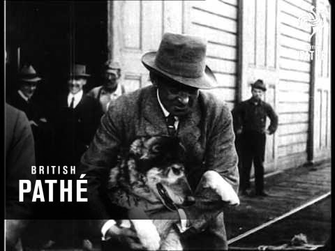 Sir Ernest Shackleton (1916)