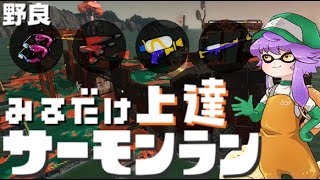 【野良】見るだけ上達サモラン！シューター３枚ドンブラコ🚢カンスト285回【スプラトゥーン3/サーモンランNW】