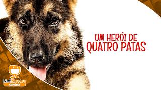 Um Herói