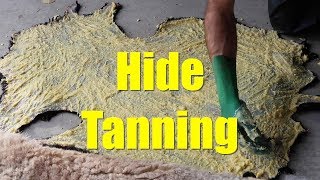 Alum Tanning Lamb Hides
