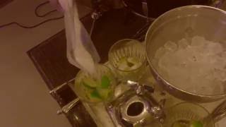 Make the perfect CAIPIRINHA with The Tremolo Beer Gut (Instructional Video)