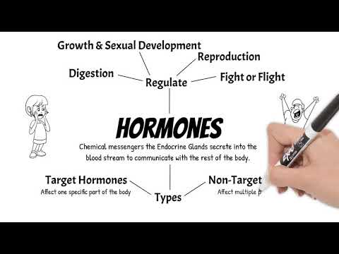 Hormones. Short Simple Science