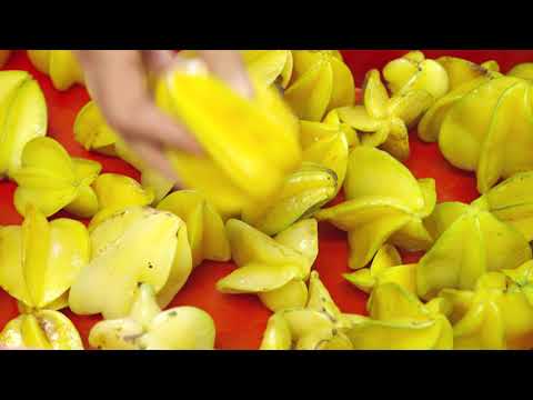 Exotisch regional: Papaya, Maracuja & Co. aus Franken