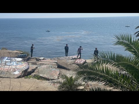 Decent Criminal - Vertigo (Official Music Video)