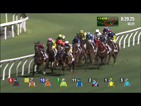 28/4/2021 (625) Donc Je Suis - Z Purton