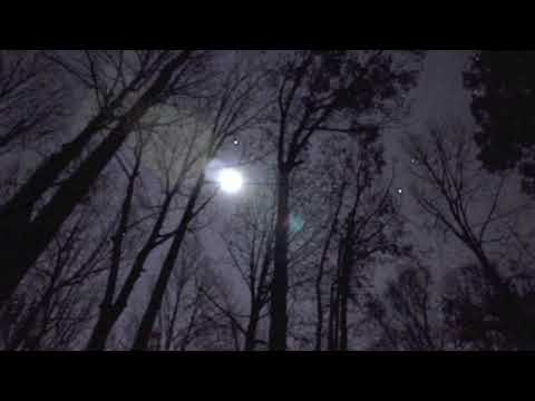 Amycanbe - "Yellow Suit"