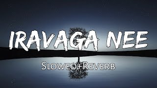 Download lagu Iravaaga Nee 《Slowed Reverb》| Vikram Prabhu, Keerthy | G.V. Prakash | Idu Enna Maayam | Reverbs mp3 Download lagu Iravaaga Nee 《Slowed Reverb》| Vikram Prabhu, Keerthy | G.V. Prakash | Idu Enna Maayam | Reverbs mp3