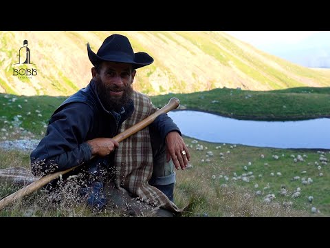 2600 de oi BUCĂLĂI în grija lui Marinel Ciobănașu' - munții Retezat | A fost mușcat de VIPERĂ Ep.2