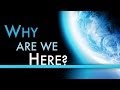 Why Are We Here? - Yusha Evans 