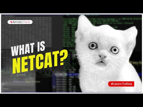 Introduction to Types of Shell | What is Shells | InfosecTrain