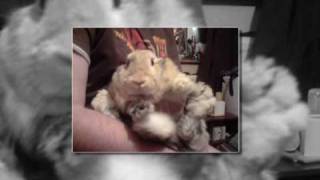 Lisa Stansfield - Baby I Need Your Loving