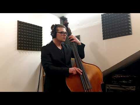 Simone Lanzi - Insegnante Contrabbasso per BMC