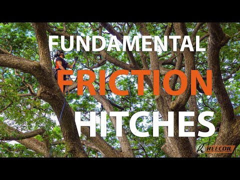 Fundamental Friction Hitches for Arborists