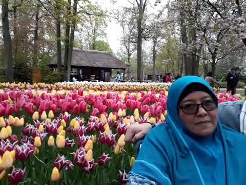 Keukenhof 2018