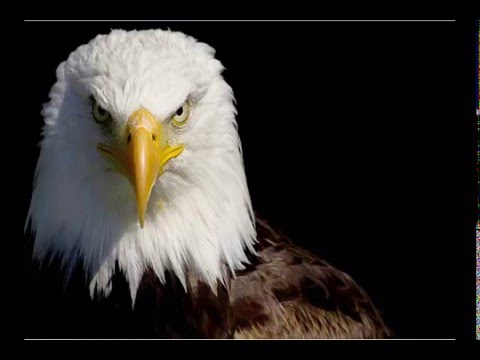 Activa pres. Force One – Reflection (Marcos Remix)