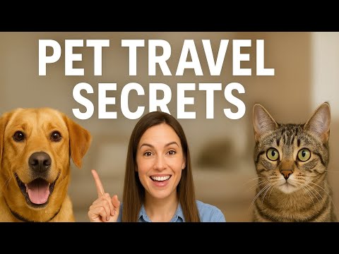 Pet Travel Secret: What Airlines & Cruises Won’t Tell You About Pets in 2026!  ✈️🛳 🐶🐱