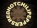 [RARE] RHCP-Under The Bridge (SNL 92') 