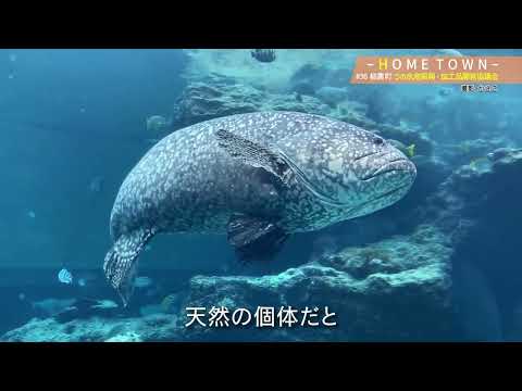 2025年6月3日(火)放送 #36 つの水産振興・加工品開発協議会