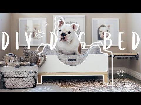 download lagu mp3 mp4 Diy Dog Bed, download lagu Diy Dog Bed gratis, unduh video klip Diy Dog Bed