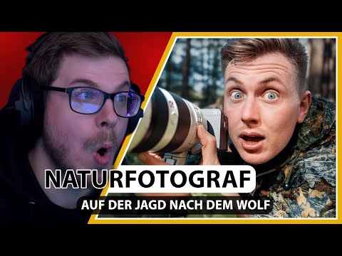Auf der Jagd nach dem Wolf - 1 Tag als Naturfotograf | SoulOfPirate Reaction