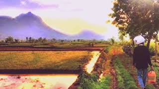 Download lagu Setatus whatsap pamer bojo anyar mp3