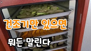 건조기만 있으면 뭐든 말린다  지금이 딱시기다 겨울 먹거리