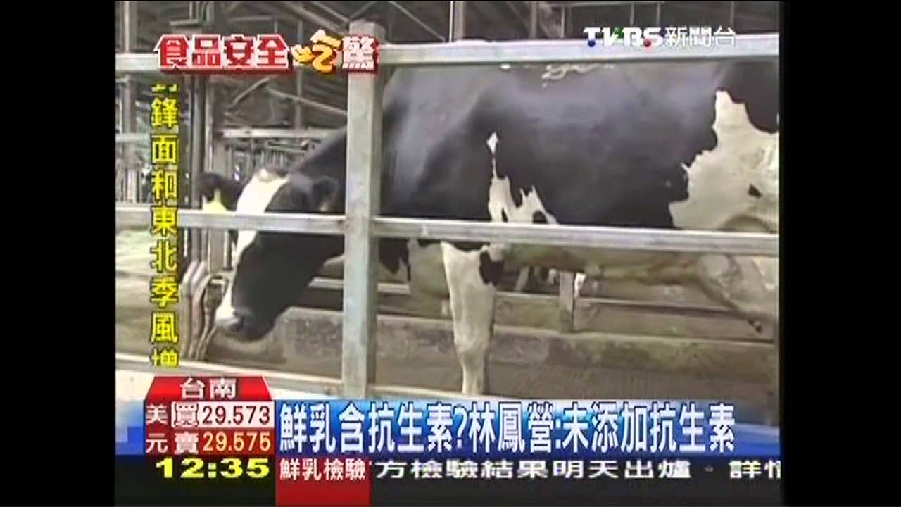 鮮乳含抗生素？　牧場自清：飼料無添抗生素
