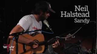 Neil Halstead - "Sandy" (Live at WFUV)
