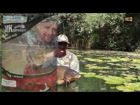 Бойлы Balzer Matze Koch