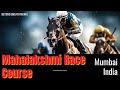 Mahalakshmi Race Course Horse Racing From Above Aerial View Drone View