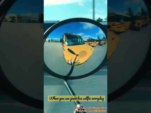 🚌 Do you know, what school bus driver sees everyday? #schoolbusdriver #schoolbus #shorts