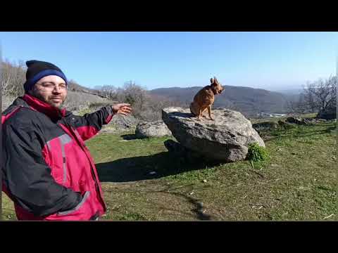 DUNITA asta SIEMPRE SIEMPRE 