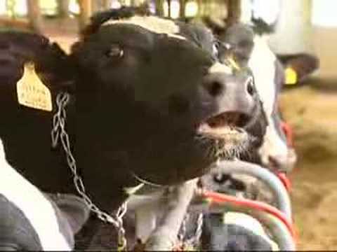 Alphabet Road - "F" Is For Farm - "My Farm Story"