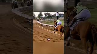 Ninguém acreditava que esse cavalo conseguiria correr novamente