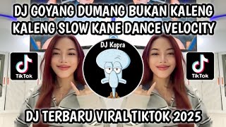 Download lagu DJ GOYANG DUMANG BUKAN KALENG BUKAN KALENG KALENG || VERSI SLOWED DANCE VELOCITY VIRAL TIKTOK 2025‼️ mp3