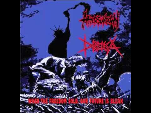 Aftersundown   Diseksa Split   When The Freedom Sold, Our Future Is Bleak 2010