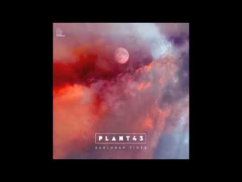 Plant43 -- Transient Cities