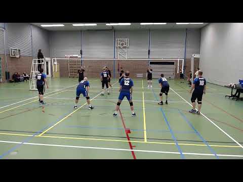 Mytilus hs1 - Ardito HS 2