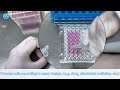 Cell Counting Kit 8 CCK 8 Assay Principle