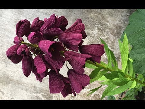 ABC TV | How To Make Fritillaria Persica Paper Flower From Crepe Paper - Craft Tutorial
