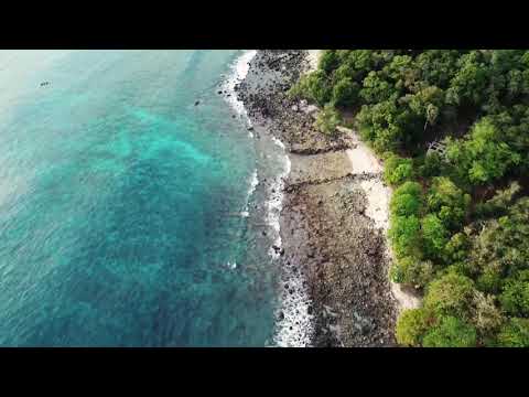 Life's a Beach ⛱️