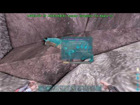 Easiest way to Tame Hyaenodon