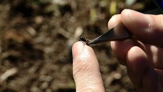 Miniatura do vídeo
