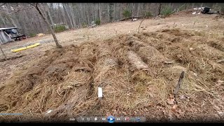 DEFEAT POTATO BUGS *chemical free*=Get 2 crops of Potatoes in zone 6a