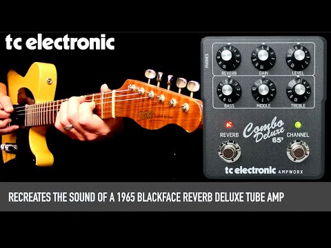 TC Electronic Ampworx Vintage Series Combo Deluxe '65 2023 image 5