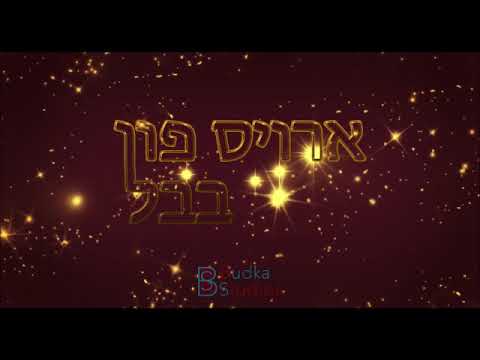 Wedding song for Buri & Shaindy Weiss  ארויס פון בבל