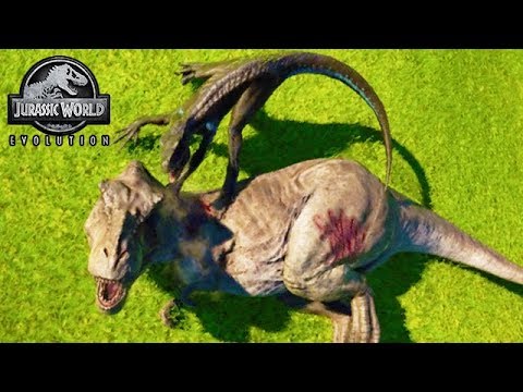 ALL INDORAPTOR KILLING ANIMATIONS (JURASSIC WORLD EVOLUTION)