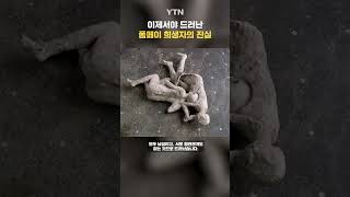 Download lagu 가족이 아녔어…? #shorts / YTN mp3