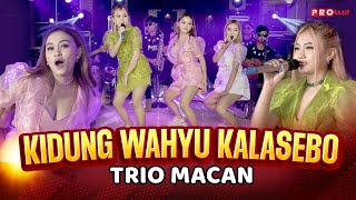 Download lagu Trio Macan - Kidung Wahyu Kalasebo | Live Version mp3 Download lagu Trio Macan - Kidung Wahyu Kalasebo | Live Version mp3