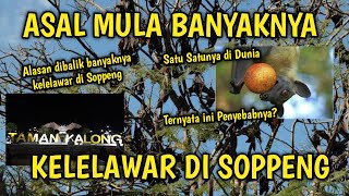 Download lagu ASAL MULA KELELAWAR SOPPENG... mp3